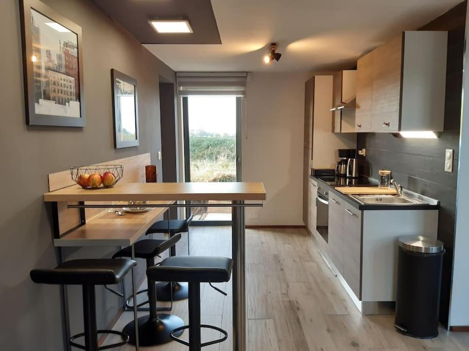 Logement 80 M2 Avec Terrasses Entre Les Deux Abers Landéda エクステリア 写真