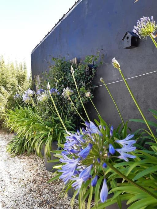 Logement 80 M2 Avec Terrasses Entre Les Deux Abers Landéda エクステリア 写真